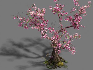 forest - peach blossom tree 21 3D Model