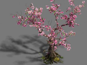 ліс - персикове дерево 21 3D Модель