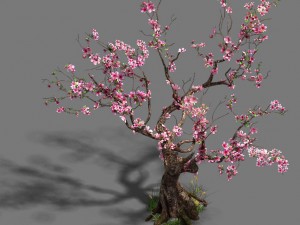 forest - peach blossom tree 21 3D Модель