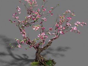 forest - peach blossom tree 21 3D Модель