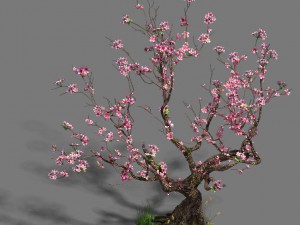 forest - peach blossom tree 21 3D Модель