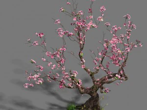 forest - peach blossom tree 21 3D Model
