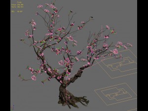 forest - peach blossom tree 21 3D Модель