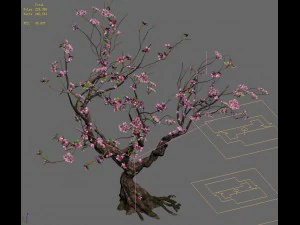 forest - peach blossom tree 21 3D Model