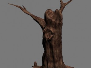 desert - dead tree 11 3D 모델