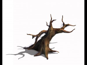 desert - dead tree 12 3D Model