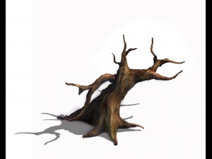 desert - dead tree 12 3D Model