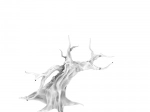 desert - dead tree 12 3D Model