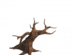 desert - dead tree 12 3D Model