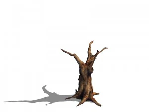 desert - dead tree 13 3D Model