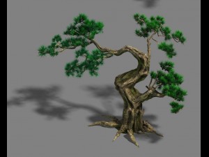 forest - pine 12 3D Model