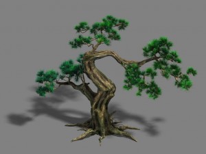 forest - pine 12 3D 모델