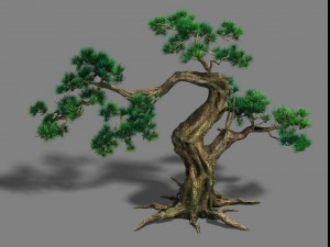 forest - pine 12 3D 모델