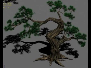 forest - pine 12 3D Model