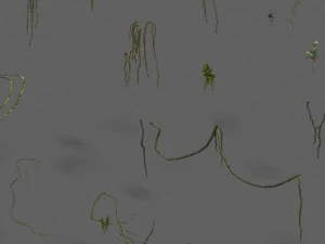 shushan - tanaman merambat Model 3D