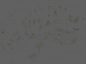 shushan - vines 3D Model