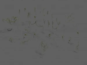 shushan - vines 3D Model