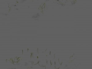 shushan - vines 3D Model