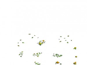 woods - orange trees Model 3D