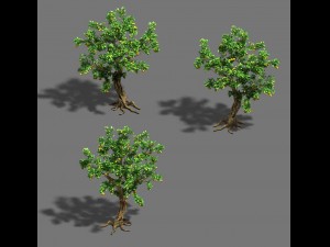 woods - orange trees Model 3D