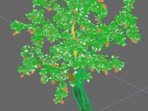 woods - orange trees Model 3D