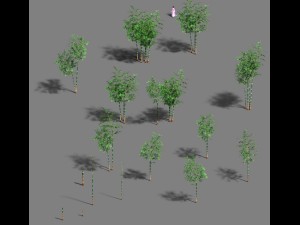 woods - bamboo 02 Model 3D
