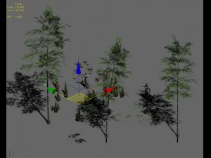 woods - bamboo 02 3D Model