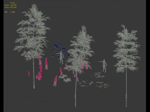 woods - bamboo 02 3D Model