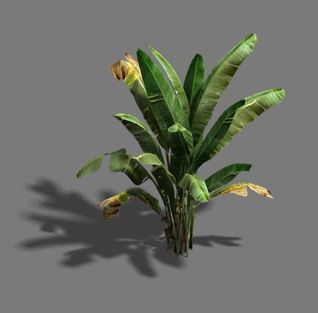 trees - banana trees Modelo 3D .c4d .max .obj .3ds .fbx .stl .blend 