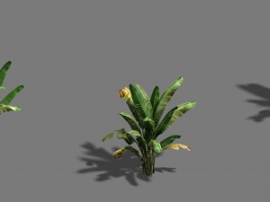 trees - banana trees Modelo 3D