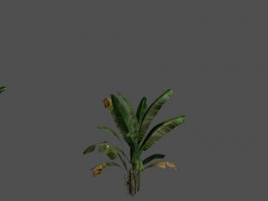 trees - banana trees Modelo 3D