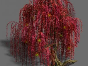 деревья - билуо деревья 01 3D Модель