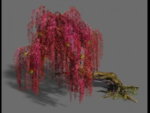 trees - biluo trees 02 3D Model