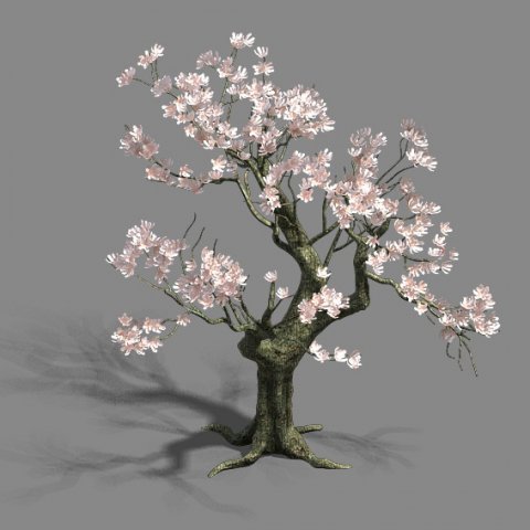 trees - flowers tree 3D Model .c4d .max .obj .3ds .fbx .stl .blend 