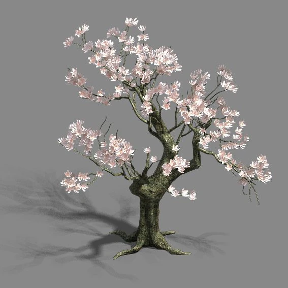 trees - flowers tree 3D Model .c4d .max .obj .3ds .fbx .stl .blend 