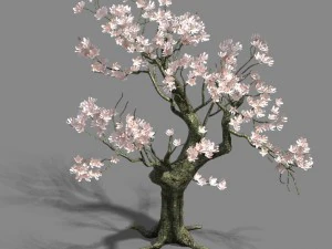 trees - flowers tree 3D Model