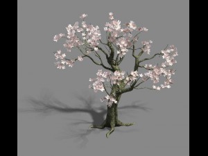 trees - flowers tree 3D Model