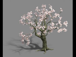 trees - flowers tree 3D Model