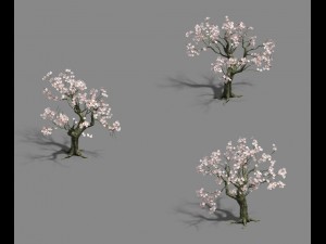 trees - flowers tree 3D Model