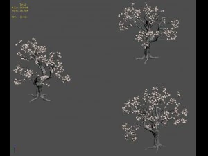 trees - flowers tree 3D Model