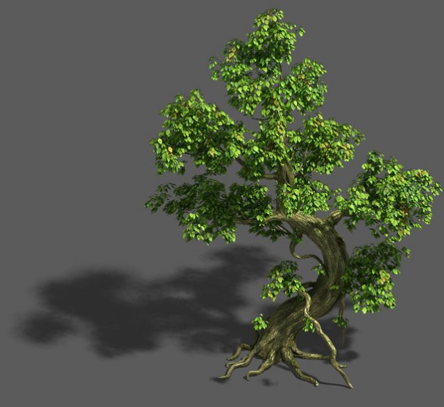 trees - crooked neck tree Model 3D .c4d .max .obj .3ds .fbx .stl .blend 