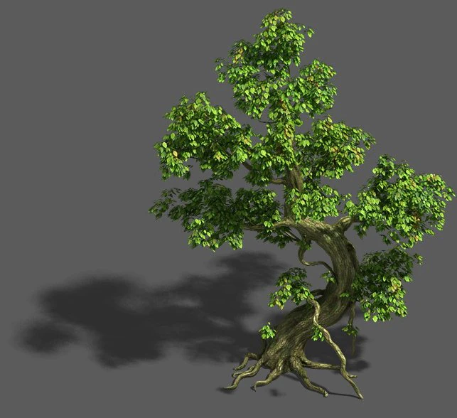 trees - crooked neck tree 3D Model .c4d .max .obj .3ds .fbx .stl .blend 