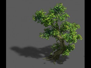 trees - crooked neck tree Model 3D