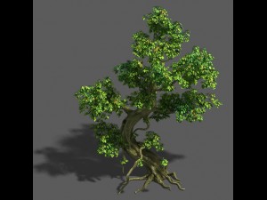 trees - crooked neck tree Model 3D