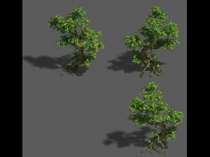 trees - crooked neck tree Model 3D