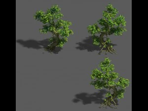 trees - crooked neck tree 3D Model