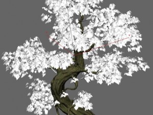trees - crooked neck tree Model 3D