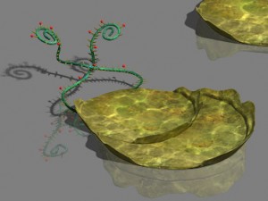 water cloud ze - plant 3Dモデル
