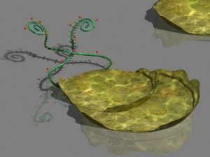 water cloud ze - plant 3D Model