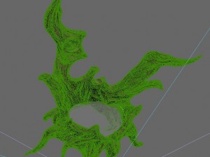 xinshoucun - root - light 3D 模型